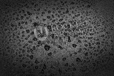 2026_04_17_901804